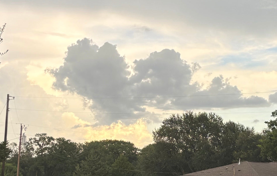 Signs from the Heavens